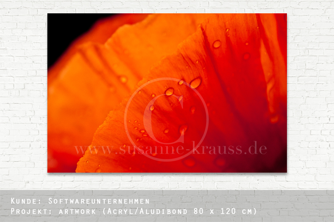 Susanne Krauss - Fotografie